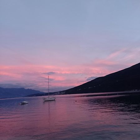 Apartman Gust Herceg Novi Exteriör bild